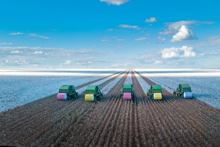 Colheita do algodão finaliza na Bahia e são boas as expectativas para a safra 2023/2024