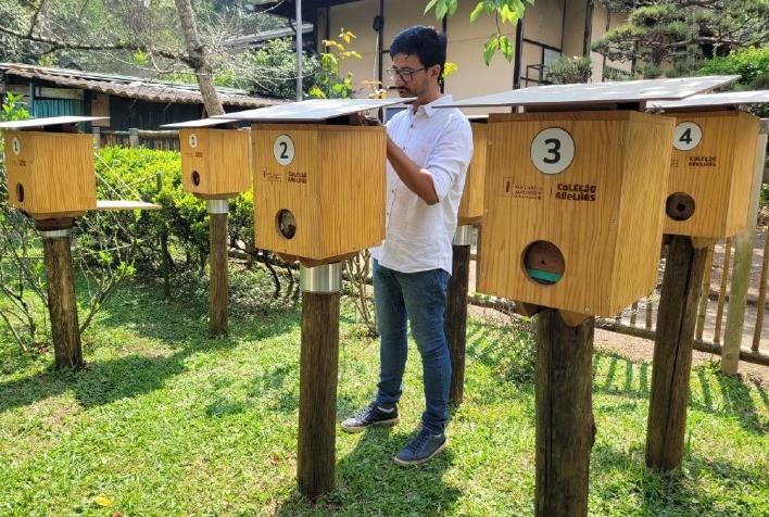 Produção de mel cresce e movimenta quase R$ 1 bilhão por ano