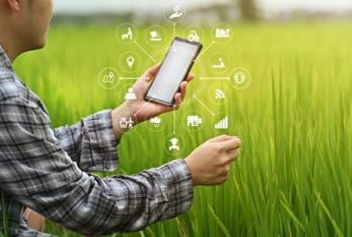 Inteligência Artificial estrutura “investimento verde” para o agronegócio brasileiro