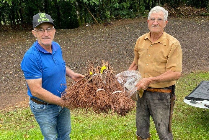 Produtores de uva e vinho de Coronel Martins recebem mais de 800 mudas de videira