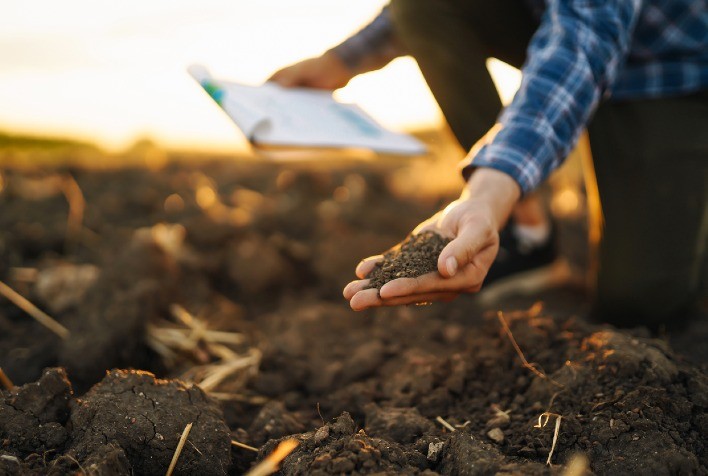 Caminho para um futuro mais sustentável: agroecologia no Brasil, desafios e potencialidades