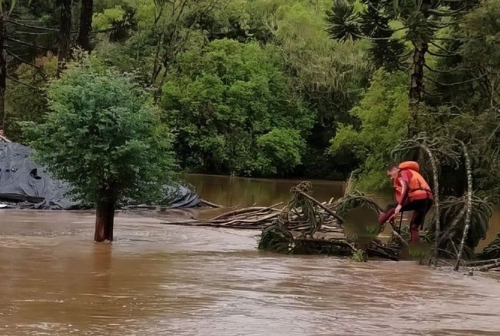 Chuvas no Paraná e Santa Catarina: municípios levantam perdas nas propriedades rurais