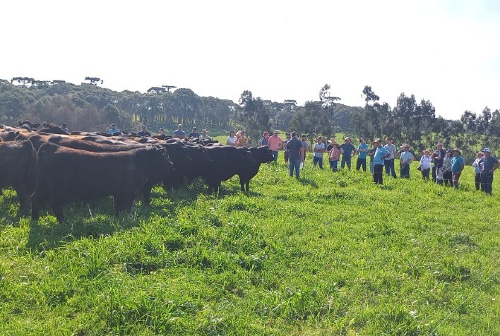 Produtores visitam fazenda de SC considerada referência em Bovinocultura de Corte no Brasil