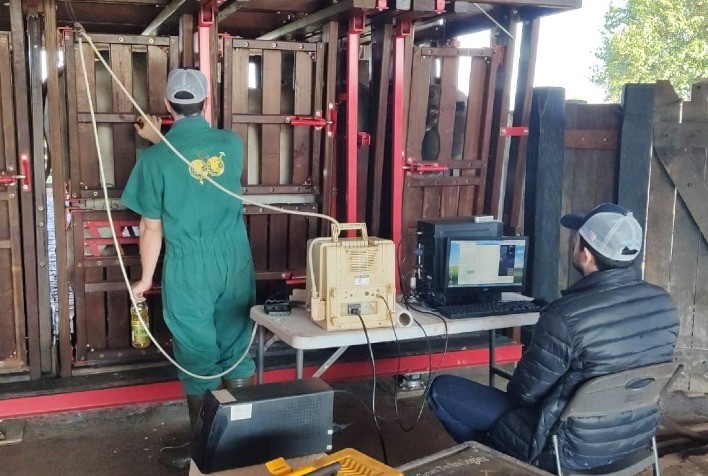 Produtividade na pecuária: ultrassonografia de carcaças pode ser subsidiada pelo Sebraetec