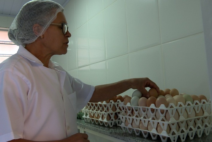 Ovos coloridos enriquecem a merenda escolar em Rio Piracicaba