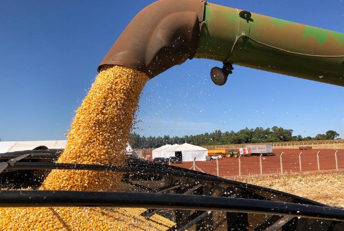 Mercado brasileiro de milho deve seguir com negócios lentos