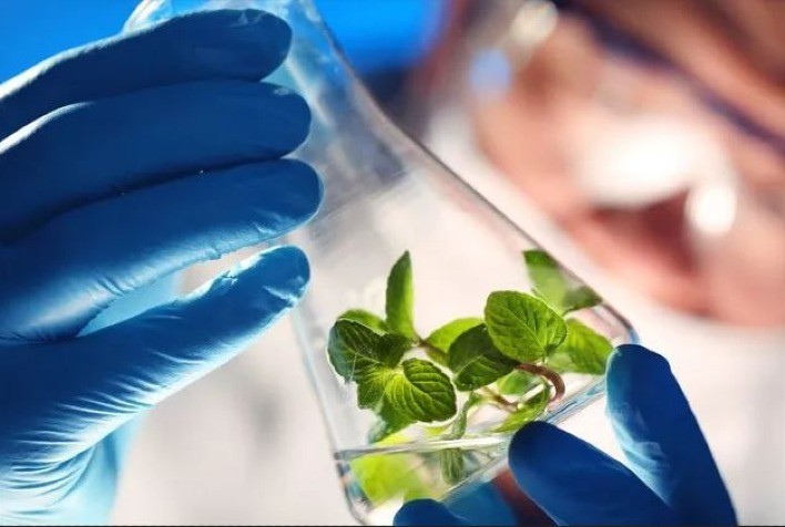 Mercado de bioinsumos movimenta US$ 827 milhões no país