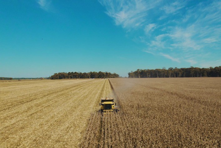 Websérie “Rota da Colheita KWS” traz a experiência com os híbridos KWS pela voz dos agricultores
