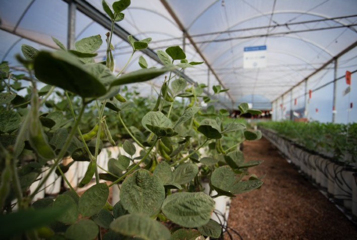 Nitro anuncia parceria estratégica com a startup Regenera e aumenta aposta no mercado de bioinsumos