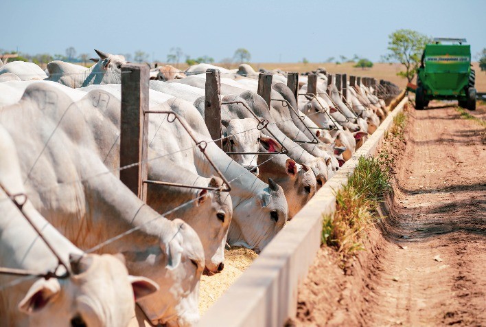 Biogénesis Bagó destaca soluções em sanidade, nutrição e silagem no 2º Simpósio Agropecuário de Paragominas