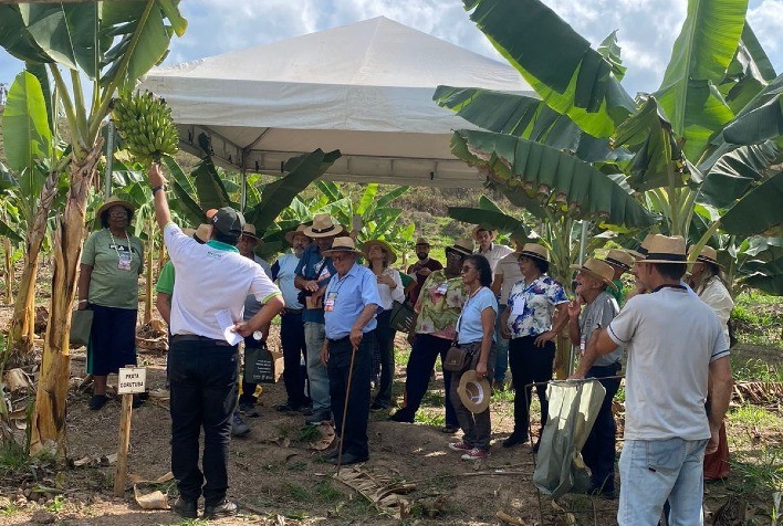 Emater-MG estimula a implantação de pomares na região de Itabira