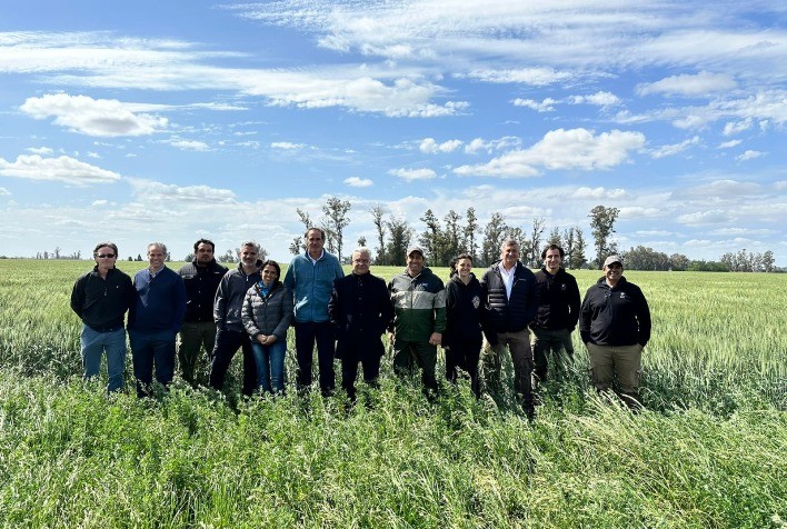 Na Argentina, o IICA fortalece a cooperação com a Bayer para a difusão de boas práticas agrícolas