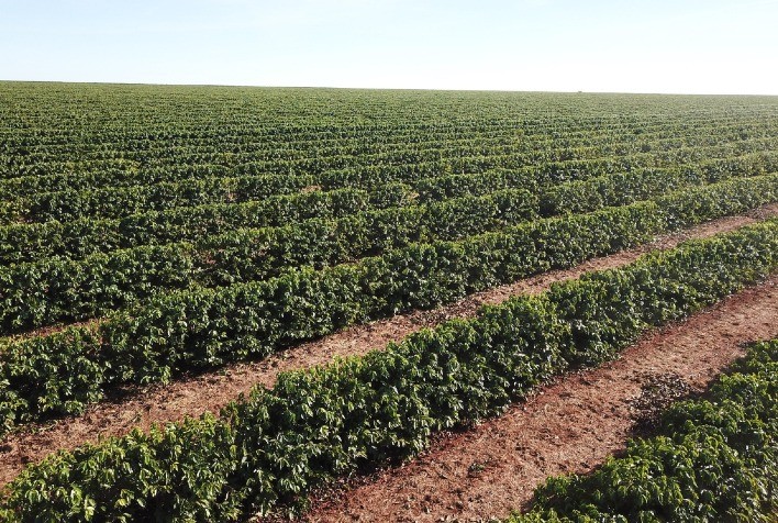 Avanço na redução de carbono é tema do próximo episódio do XVI Seminário de Políticas Públicas para o Setor Rural