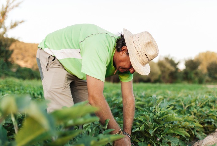 Crédito Rural: entre janeiro e outubro, Emater contribuiu para o aporte financeiro de cerca de R$ 140 milhões na economia goiana em 2023