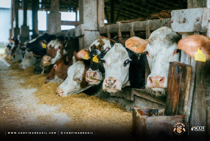 Equipe do Confina Brasil 2023 finaliza 4ª rota em confinamentos de Santa Catarina