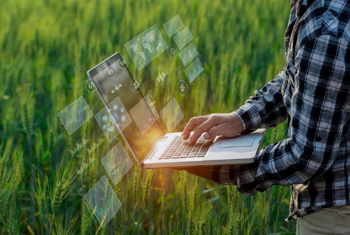 Soluções em nuvem aceleram transformação digital do agro