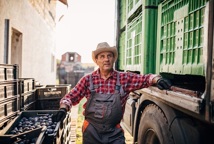 Logística no agronegócio: como a estratégia pode oferecer competitividade e impulsionar o setor