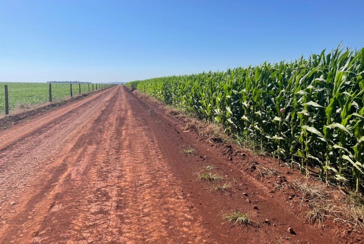 Tecnologia amplia produtividade da safrinha de milho em 10,6 sacos por hectare