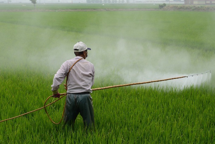 Com pegada sustentável, Symbiomics desenvolve tecnologias para redução de agrotóxicos e aumento da produtividade no campo