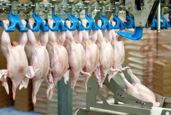 Desempenho do frango abatido em outubro e nos 10 primeiros meses de 2023