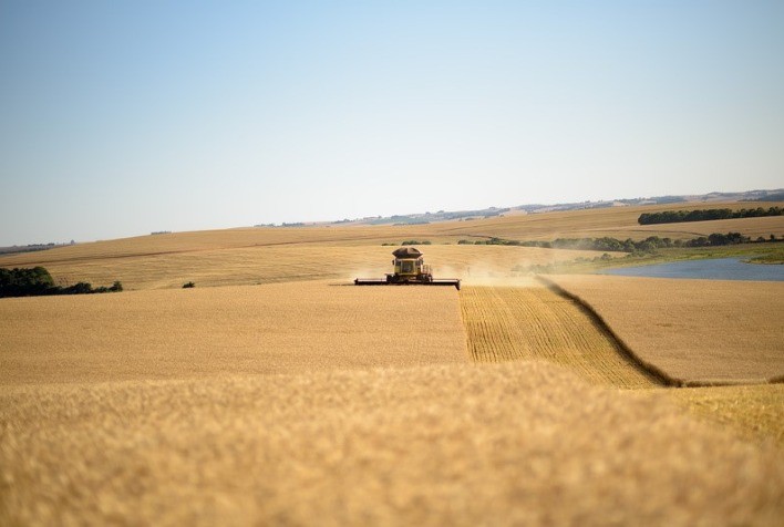 Preços do trigo subiram 12,1% em outubro com piora das lavouras no Brasil