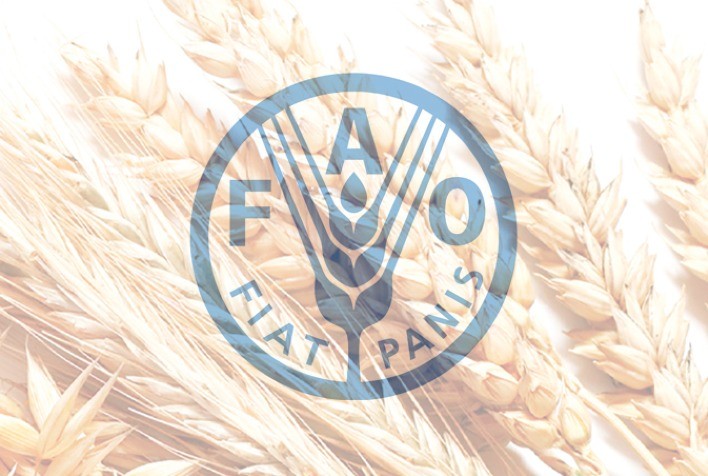 FAO prevê produção recorde de cereais
