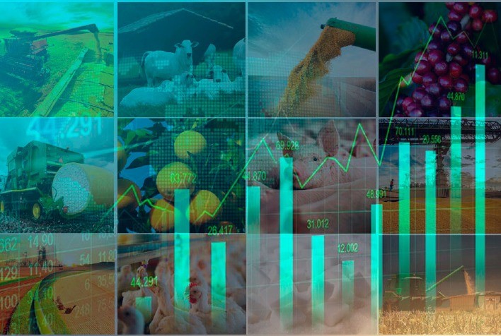 Desoneração do PIS/Cofins em suplementos nutricionais para bovinos de corte e de leite pode elevar o PIB brasileiro em quase 1%