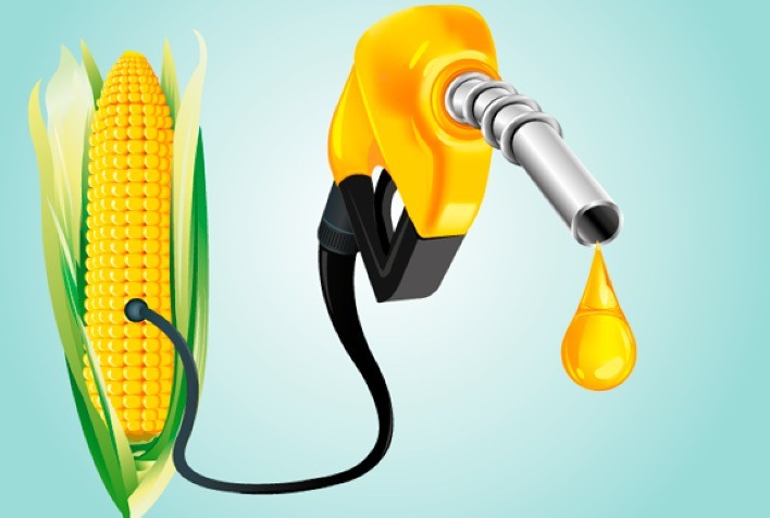 Projeto de primeira usina de etanol de milho em TO começa a sair do papel