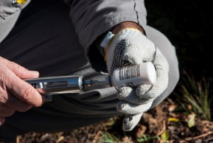 Febre aftosa: Segunda etapa da campanha de vacinação é destinada aos bovinos e bubalinos com até 24 meses de idade