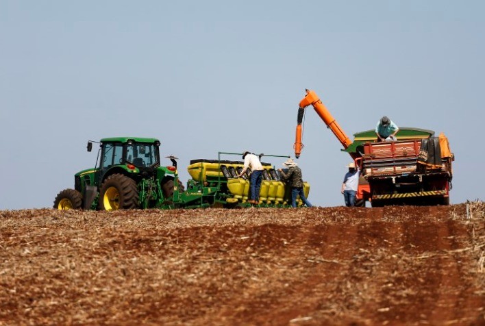 CONJUNTURA AGROPECUÁRIA: Produtores retomam plantio de culturas de verão e avaliam impactos após as chuvas