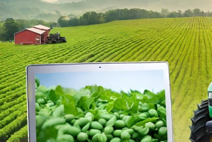 Agricultores buscam menos burocracia e prazos menores para financiamentos