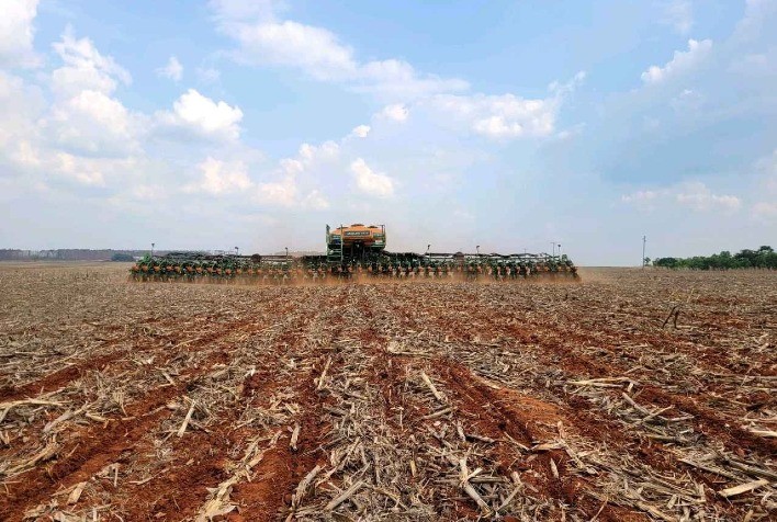 Cultivo da soja em mato grosso é afetado pela irregularidade das chuvas