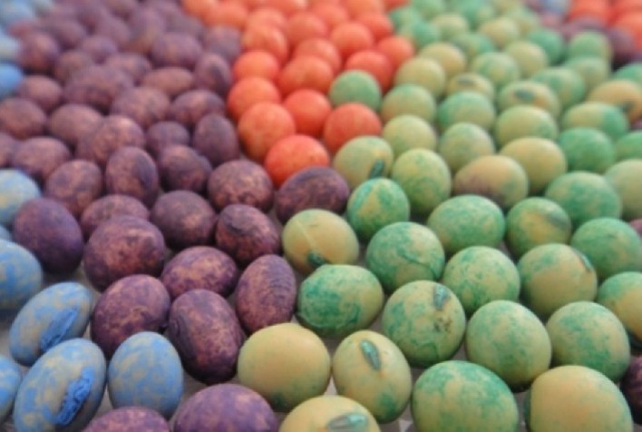 Mudança na tributação dos royalties de empresas de sementes traz segurança jurídica e favorece inovação