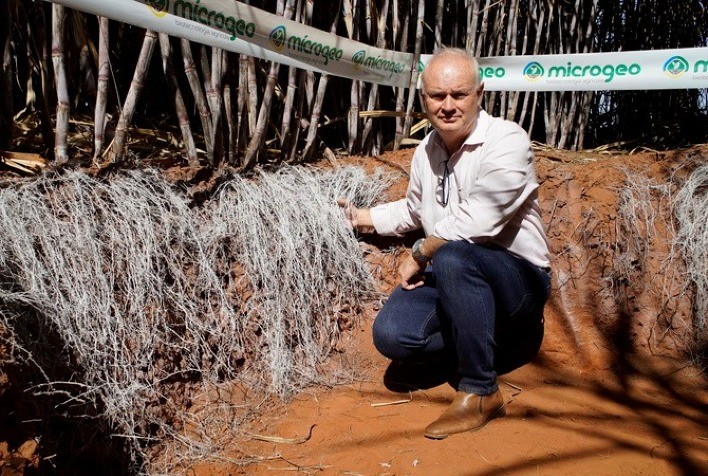 Produtores de cana-de-açúcar alcançam importantes resultados com inovação no manejo biológico