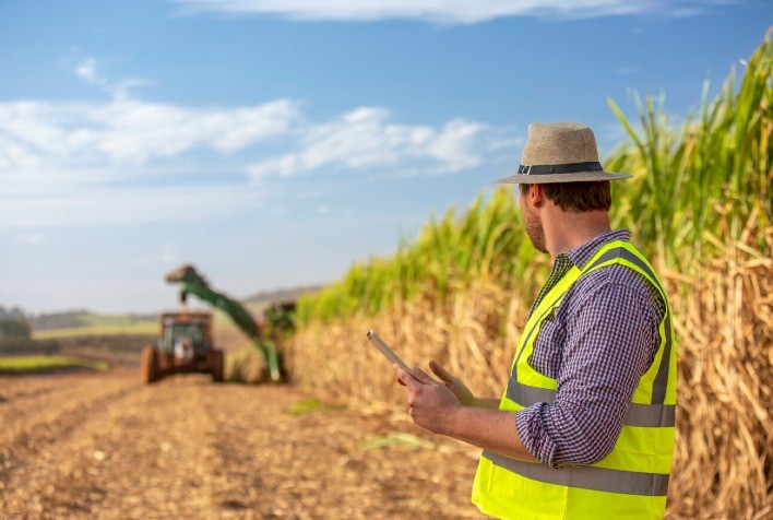 BASF reúne especialistas para impulsionar a produção da cana-de-açúcar no Brasil
