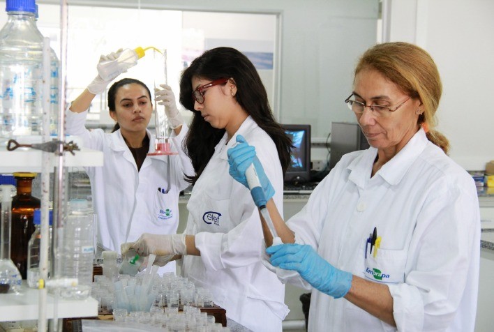 Interessados em bolsas do CNPq podem se inscrever em banco de dados da Embrapa Mandioca e Fruticultura