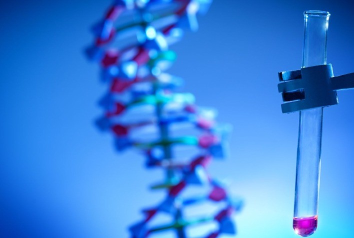 Startup de biotecnologia cria plataforma de edição genômica voltada para a agricultura sustentável