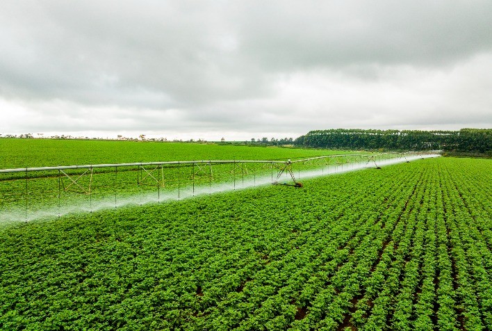 Experts BASF destaca inovações e investimentos na horticultura