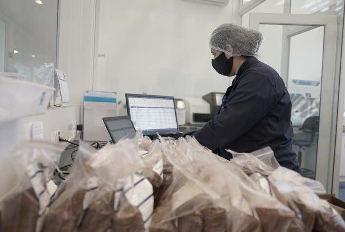 Análise biológica de solo impulsiona a agricultura regenerativa