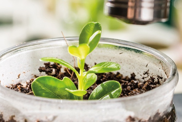 Agro em Dados chega à sua 50ª edição com conteúdo especial e destaque para bioinsumos