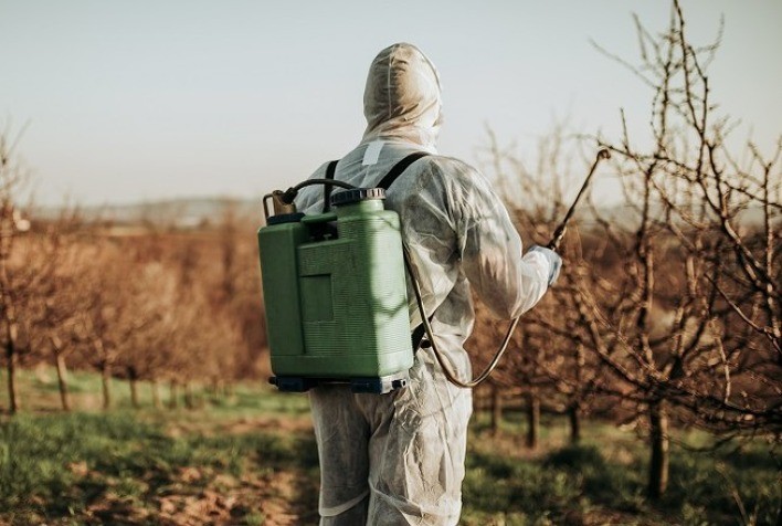 Bayer é condenada a pagar US$1,56 bi após derrota em julgamento nos EUA sobre herbicida Roundup