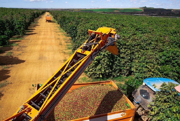 Brasil abastece com café os concorrentes Vietnã e Indonésia