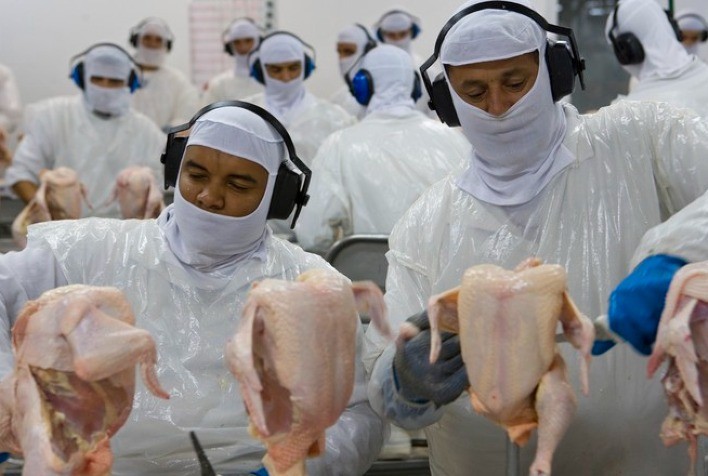 Estabilidade nos preços do frango entre atacado e varejo desde dezembro de 2019