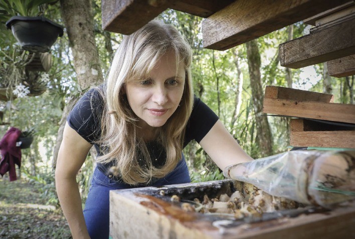 SENAR-PR ajuda na implantação de negócio na área de meliponicultora