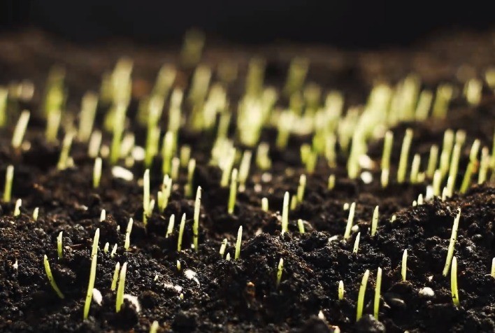 Produtos biológicos revolucionam a agricultura brasileira e mundial