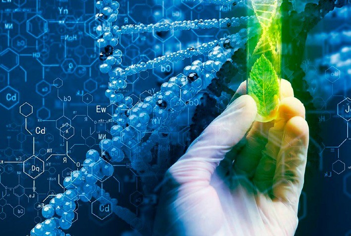 Tecnologia no campo: Biotecnologia gerou R＄ 143,5 bilhões de receita adicional para o setor agrícola