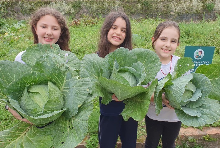 Projeto “PLANTANDO PARA O FUTURO” rende bons frutos em Santa Catarina