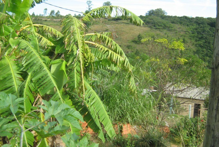 Novas portarias sobre territórios quilombolas trazem insegurança aos produtores