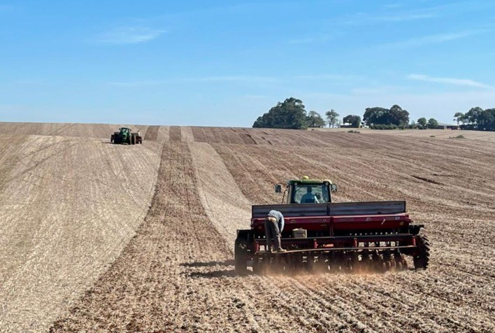 Solo seco deixa produtores da Índia cautelosos no plantio de trigo, apesar da alta de preços