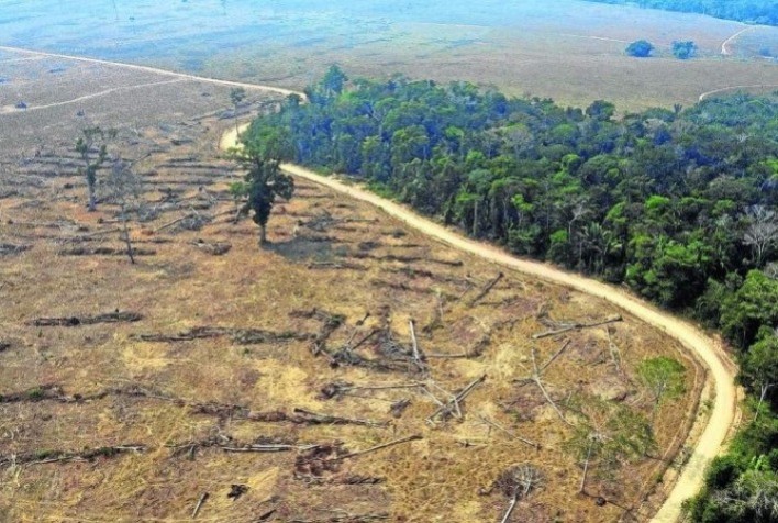 Desmatamento aumenta 86% no Cerrado em relação ao ano passado